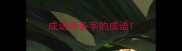 成语带备字的成语