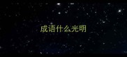 成语什么光明
