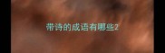 带诗的成语有哪些