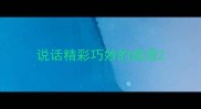 说话精彩巧妙的成语