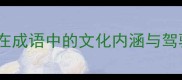 驾轻就熟驾字在成语中的文化内涵与驾驶技能的共通性