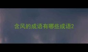 含风的成语有哪些成语