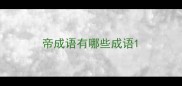 帝成语有哪些成语
