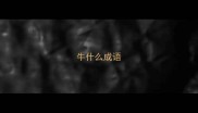 牛什么成语