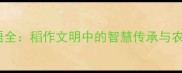 稻的成语全稻作文明中的智慧传承与农耕文化