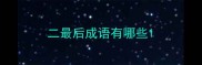 二最后成语有哪些