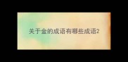 关于金的成语有哪些成语