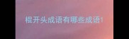 棍开头成语有哪些成语