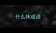 什么休成语