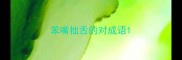 笨嘴拙舌的对成语