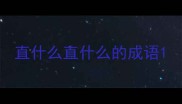 直什么直什么的成语