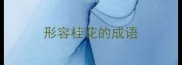 形容桂花的成语