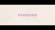 专业的四字成语