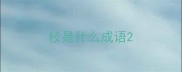 枝是什么成语