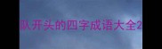 队开头的四字成语大全