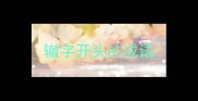 辙字开头的成语