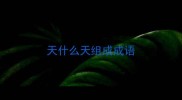 天什么天组成成语