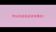 带似的成语成语有哪些