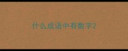 什么成语中有数字