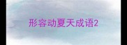 形容动夏天成语