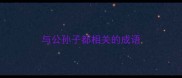 与公孙子都相关的成语