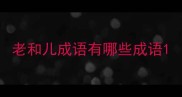 老和儿成语有哪些成语