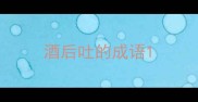 酒后吐的成语