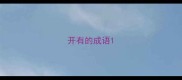 开有的成语
