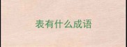 表有什么成语