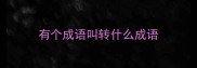 有个成语叫转什么成语