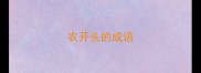 农开头的成语