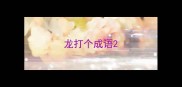龙打个成语