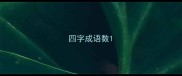 四字成语数