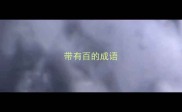 带有百的成语