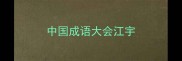 中国成语大会江宇