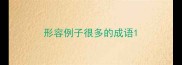 形容例子很多的成语