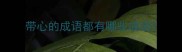 带心的成语都有哪些成语