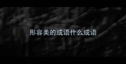 形容美的成语什么成语