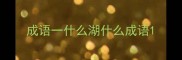 成语一什么湖什么成语