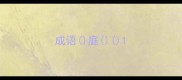 成语庭
