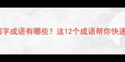 第二字是单字的四字成语有哪些这12个成语帮你快速掌握中文智慧