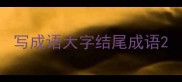 写成语大字结尾成语