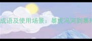 含暴字的10个成语及使用场景暴虎冯河到暴殄天物全攻略