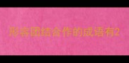 形容团结合作的成语有