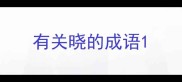 有关晓的成语