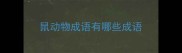 鼠动物成语有哪些成语