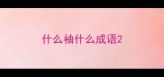 什么袖什么成语