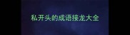 私开头的成语接龙大全