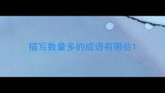 描写数量多的成语有哪些