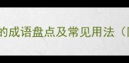 包含一致的成语盘点及常见用法附例句